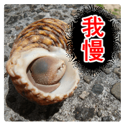 Cry at the heart of animals Part2 Cry at the heart of animals Part2