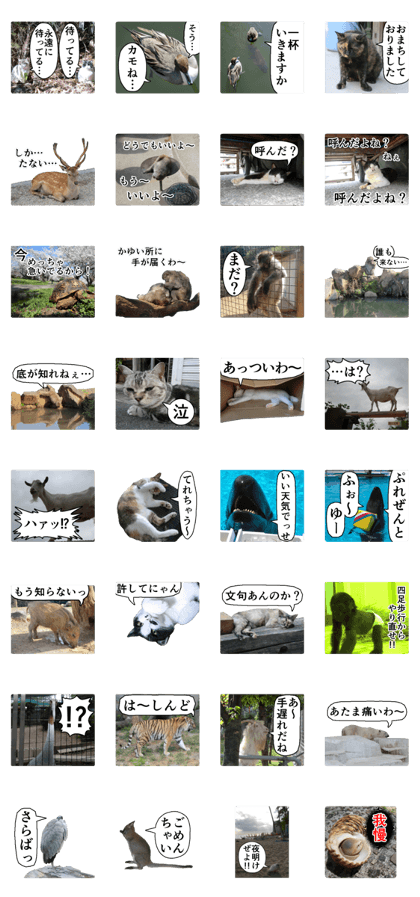 Cry at the heart of animals Part2 Cry at the heart of animals Part2