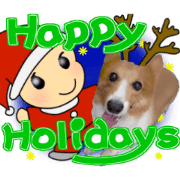 Dog and events Dog and events