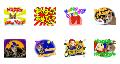 Dog and events Dog and events