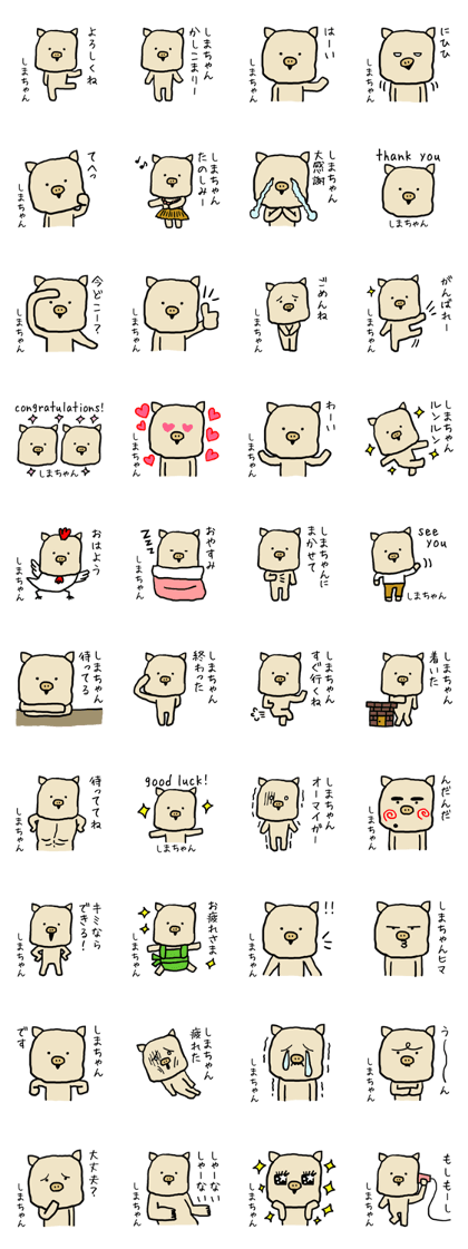 Shimachan pig Shimachan pig