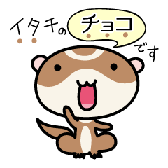 Japanese very cute ferret