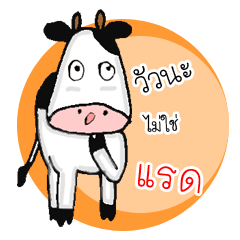 The little Cow v01