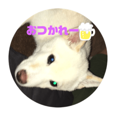 risa_20201029152055