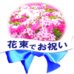 花束でお祝い(写真使用) - LINE スタンプ LINE STORE