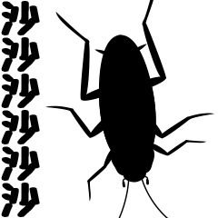 Cockroach moving 4 (Taiwan)