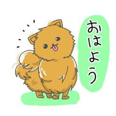 Pomeranians sticker