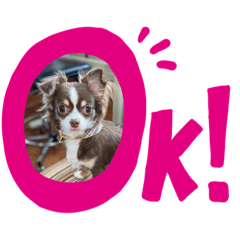 sayuri_20201029162342