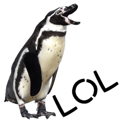 Penguin waktu sticker