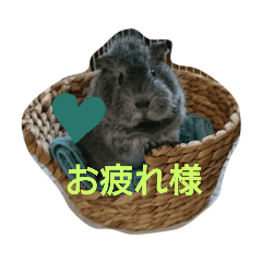 chan_20201029180522