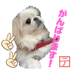 hana_20201029181517