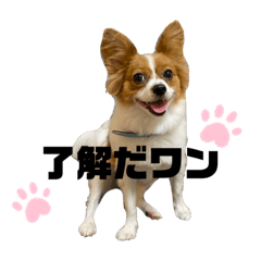 ARISA_20201029215543