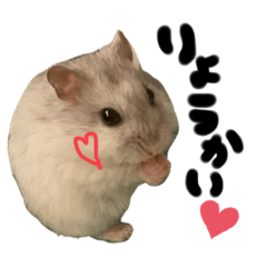 mizuki_20201029220834