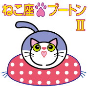 Cat THE POOTON 2