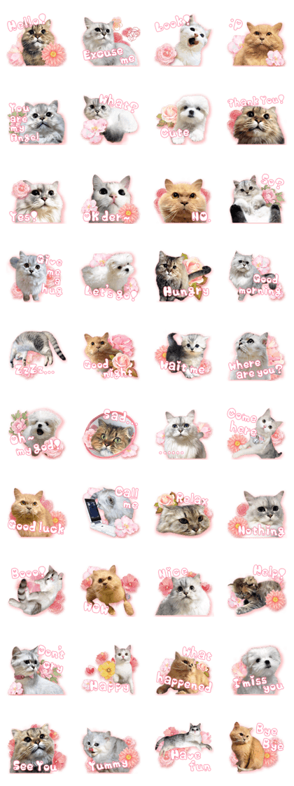 RuRu's cats.