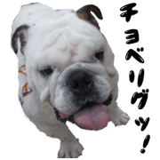 a little old-fashioned dogs' stickers