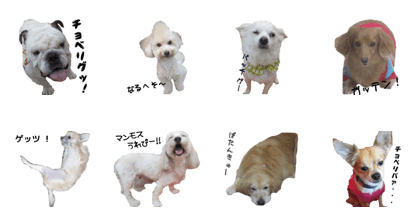 a little old-fashioned dogs' stickers