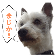 Mr Sora