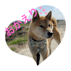 yuuko_20201030093656