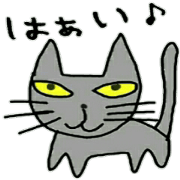 message from cat