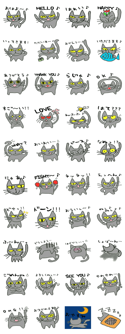 message from cat