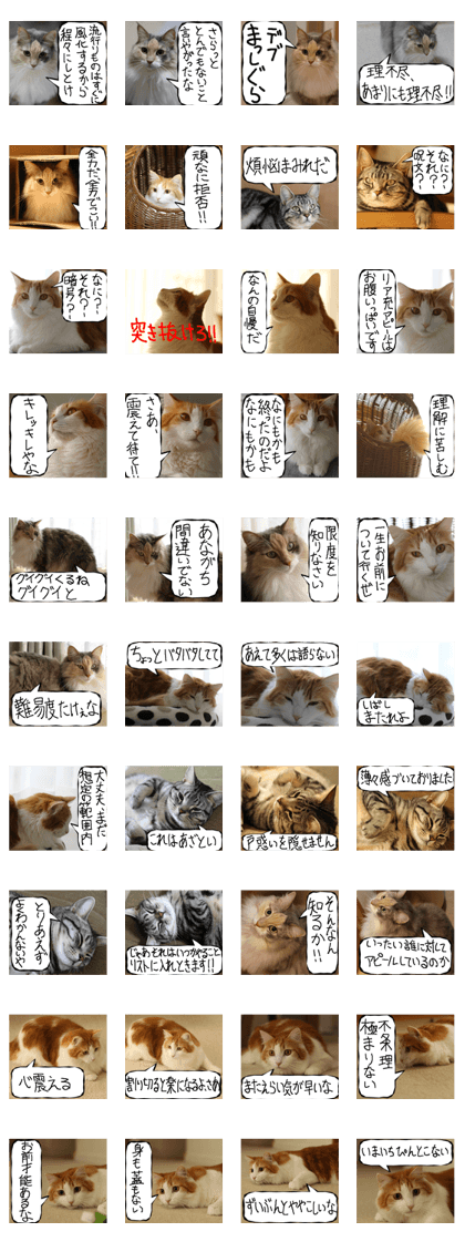 Instead tell the cat part11