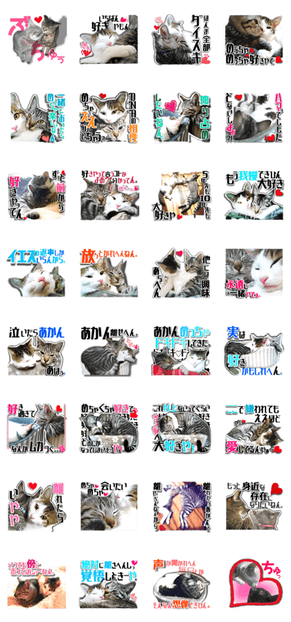 Cat of Roux.<I Love You>