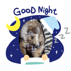 sayuri_20201030111555