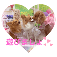 yukari_20201030113050