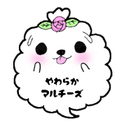 My little Vivi (Japanese version)