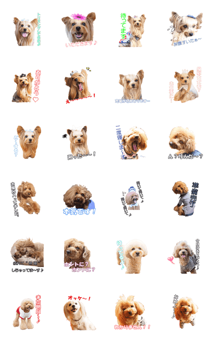 doggiesfan
