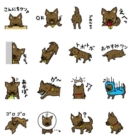Japanese Kai dog (I am GENMAI)
