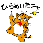 happy and crazy cat