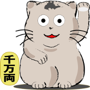 Nobo 5