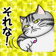 CatStreet