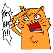 Crying cats orange