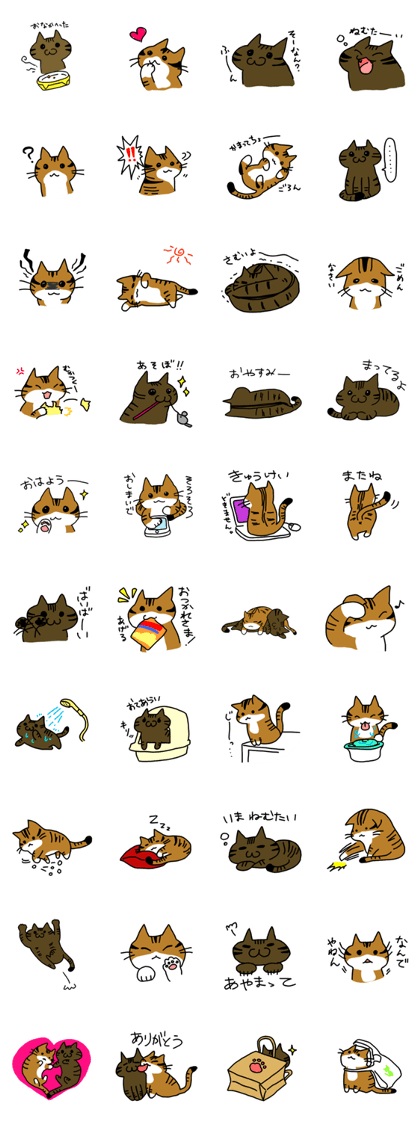 cats- KIN chan and AOI chan