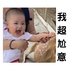 澤澤稱奇(๑•̀ᄇ•́)و ✧