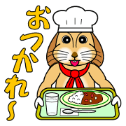 lop-eared Maru3