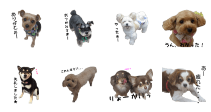 Cute Dogs' greeting stickers