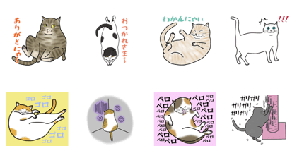 Easy cats ~anytime~