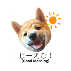 sugar_20201029201712