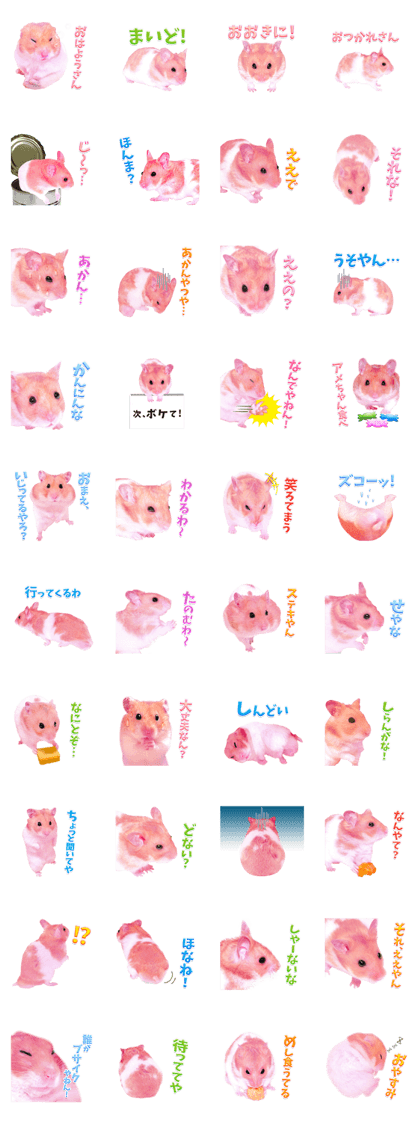 Pink hamster japanese kansai