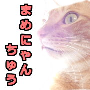 mamenyantyu Three cat stamps