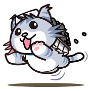 cat car