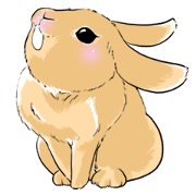Royal college of rabbit Bunny life