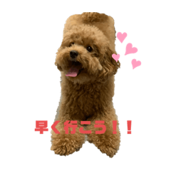 chisa_20201030151034