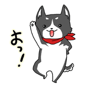 Black dog John [Everyday Ver.]