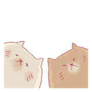 Cats high and low