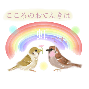 Sparrow Weather Report Girl